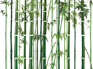 light and dark green bamboo branches - 772489682
