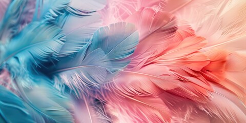 A close-up image of a bunch of feathers. Perfect for creative projects