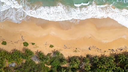 Photography with an aerial view of a beautiful beach. Crystal clear waters with blue tones. Gentle waves and green palm trees that give it a tropical touch. Natural landscape. drone photography