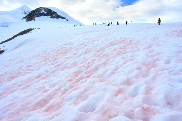Tourists visiting Antarctica among snow and penguins