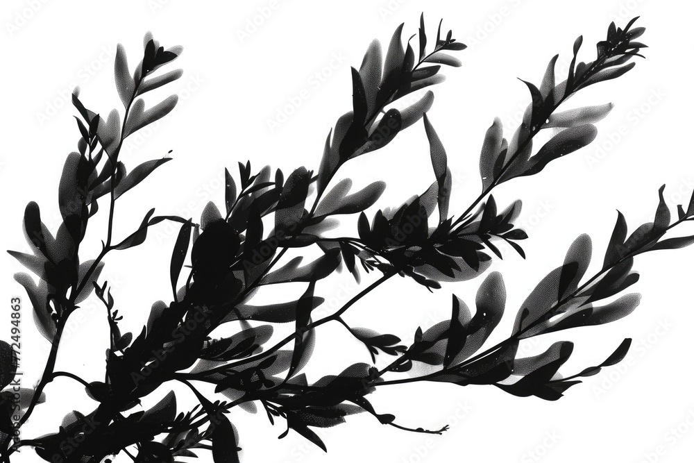 Poster A monochromatic image of a tree branch. Suitable for various design projects