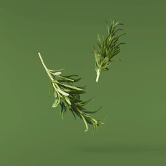 Fresh green rosemary herb falling in the air isolates on green background