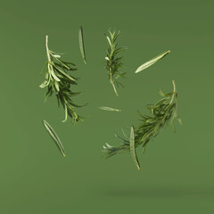 Fototapeta na wymiar Fresh green rosemary herb falling in the air isolates on green background