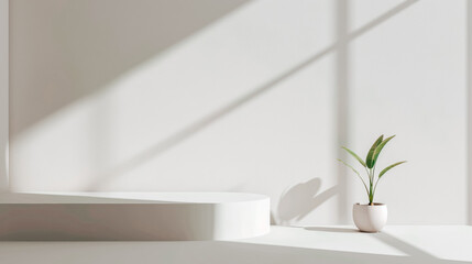 Minimalist Elegance: Single Houseplant Casting Soft Shadows on a White Wall