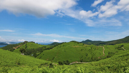 Obraz premium 자연