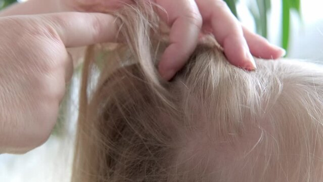 Close-up female hands, mother carefully searches lice and nits in daughter's hair, ensuring hygiene and well-being, Pediculosis infestation, Family Bonding, Health and Hygiene