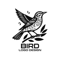 Fototapeta na wymiar Bird Vector Logo Design