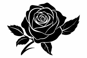 Rose vector illustration     
 silhouette black