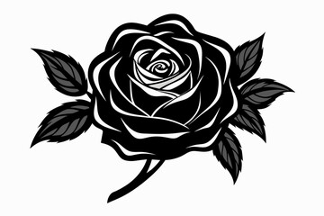 Rose vector illustration     
 silhouette black