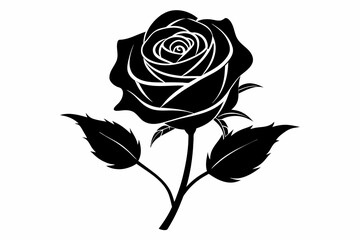 Rose vector illustration     
 silhouette black