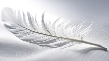 A white feather on a white cloth.