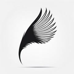 black wings white background isolated