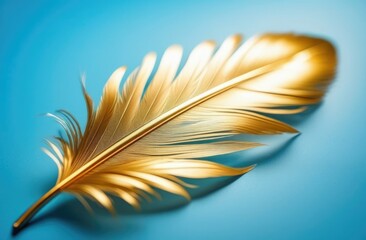 golden feather on a blue background.