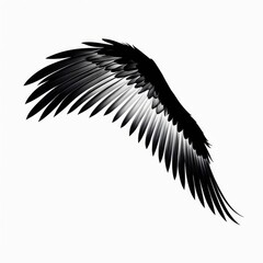 black wings white background isolated