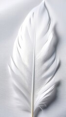 A white feather on a white cloth, large. Vertical