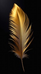 Golden feather on a black background. vertical