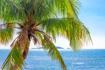 View of the coastline of the South China Sea through palm trees. Sanya China, Park Heavenly Grottoes