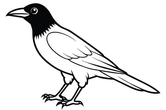 A black crow line art vector illustration