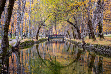 Connected with Nature (selfie)