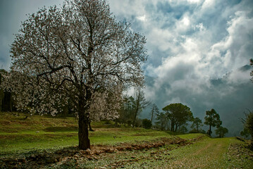 Primavera en el paraje El Chorro, en el parque natural de Cazorla, Segura y Las Villas