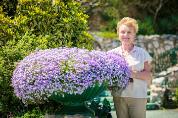 Elderly woman standing near a large flower pot with purple flowers and caring for plants