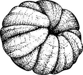 Hand-drawn tangerine illustration. Citrus fruit vector sketch. Exotic plant botanical drawing - 772524080