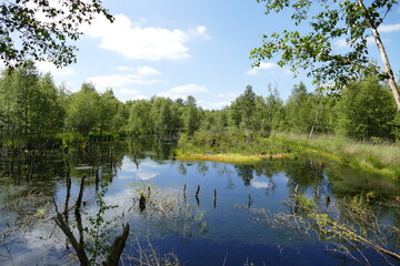 Großes und Weißes Moor zwischen Oldendorf und Elm