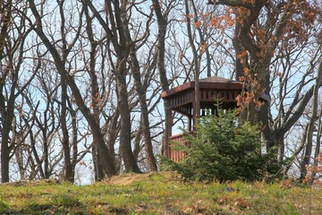 Wooden gazebo in the park among the trees