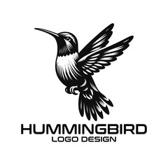Fototapeta na wymiar Hummingbird Vector Logo Design