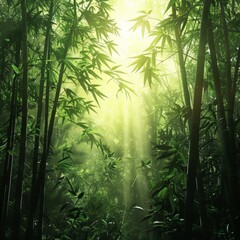 The Quiet Beauty of Spring: Light Rays Piercing Through Verdant Bamboo Canopy