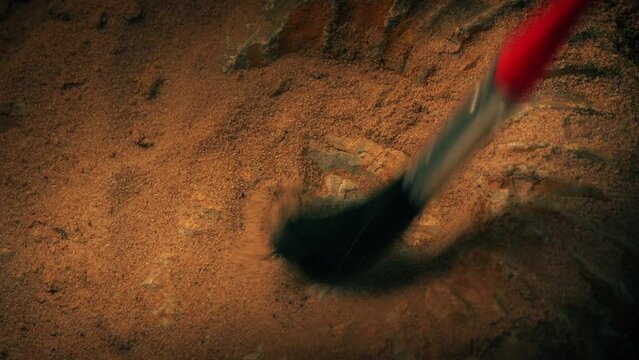 Fossil Sea Creature Is Revealed By Scientist