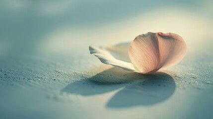 A minimalist composition featuring a single delicate flower petal resting on a smooth surface, with soft natural lighting casting subtle shadows, real photo ai generated images - obrazy, fototapety, plakaty