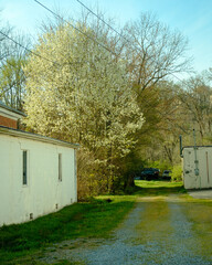 Spring colors in Marion, Virginia