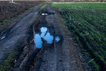 A puddle on a dirt road near a field