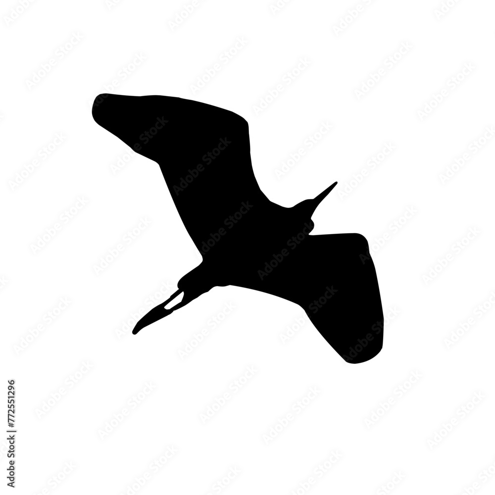 Wall mural silhouette of a flying crane