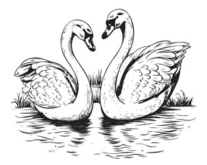 Two swans swimming in the pond hand drawn sketch in doodle style illustration © BigJoy