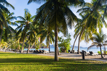 Seaside view with vacant chaise lounges under palm trees on a sunny day