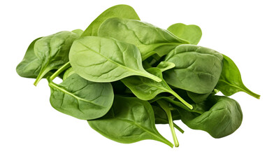 A lush pile of vibrant green spinach leaves on a pristine white background - Powered by Adobe