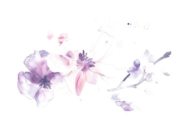 Pastel pink and purple watercolor blooms with delicate brush strokes on transparent background. - obrazy, fototapety, plakaty