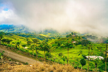 Vibrant landscape of Uvita, Costa Rica, with rolling hills and a farm under a foggy sky, showcasing the verdant biodiversity and serene beauty of Puntarenas Province. High quality photo, Uvita