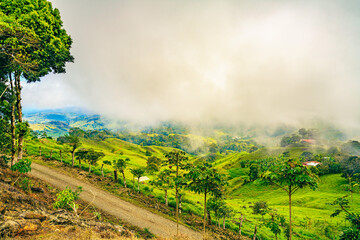A dirt road winds through the vibrant green slopes of Uvita in Puntarenas Province, Costa Rica, under a hazy sky, capturing the dynamic interaction between human settlement and the lush Central