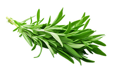 Fototapeta premium A vibrant cluster of fresh green leaves cascading elegantly against a crisp white backdrop