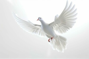 Majestic white dove flying freely against a pure white background, 3D illustration