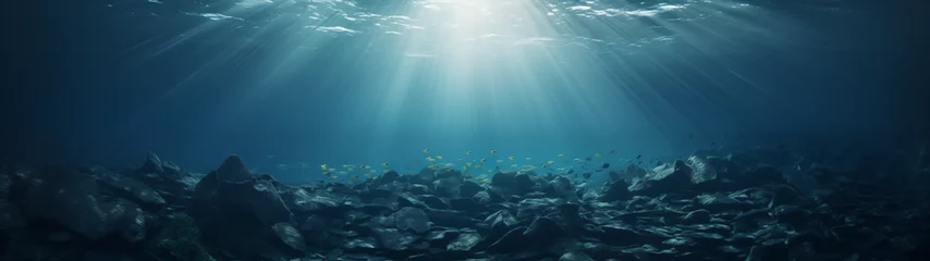 Foto op Aluminium Underwater Sunlight and Fish over Rocky Seabed © heroimage.io