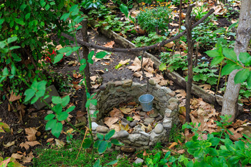A small garden with a bucket in the middle of it