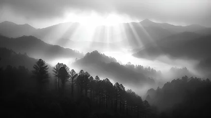 Fototapeten Mountain morning - black and white - trees - fog - clouds - mist - hazy  © Jeff