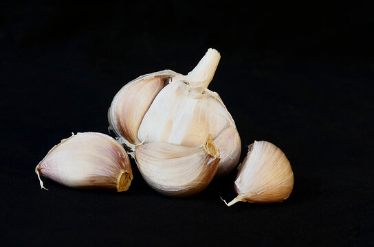 isolated garlic on black background HD closeup photo