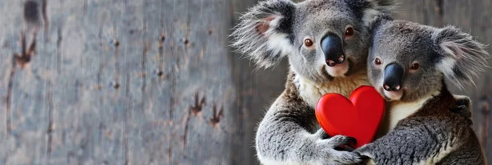 Schilderijen op glas koalas holding a heart © Brian