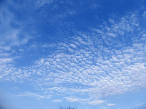 beautiful altocumulus mid-level clouds with blue sky