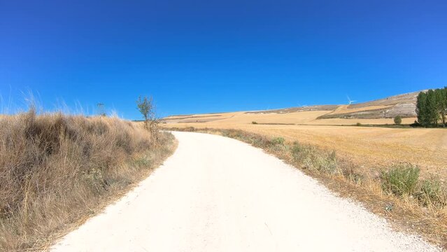 French Way of Saint James - a gravel road on a summer landscape after Rabe de las Calzadas, province of Burgos, Castile and Leon, Spain